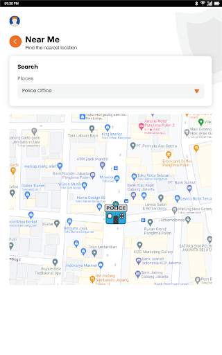 BRINSmobile screenshot 9