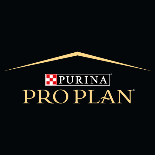 Pro Plan icon