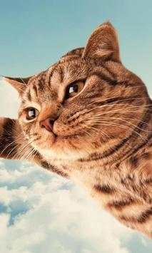 Funny Cats Jigsaw Puzzles screenshot 2
