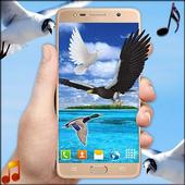 Flying Birds Live Wallpaper 3D Phone Backgrounds icon