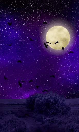 Moonlight HD Wallpapers-Moon Wallpaper Background screenshot 3