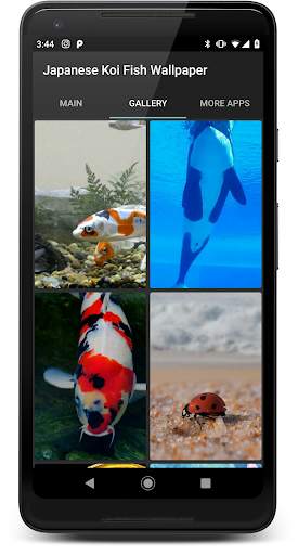 Japanese Koi Fish Wallpaper screenshot 2