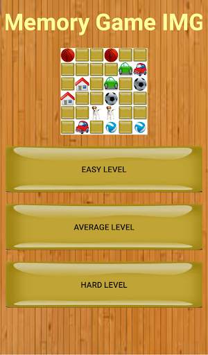Memory Game IMG screenshot 2