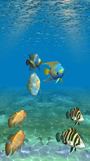 Ocean Fish Under Water Live Wallpaper screenshot 4