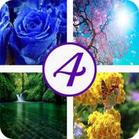 4 pics 1 word icon