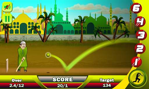 Ramzan Cricket screenshot 3