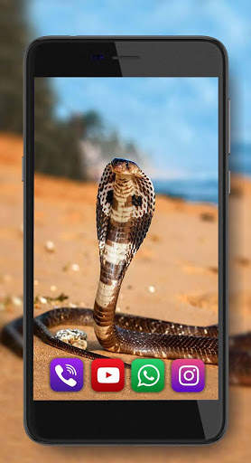 Snake Sounds Live Wallpaper screenshot 2