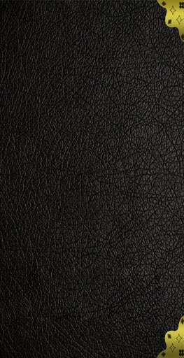 Tom Riddle Diary screenshot 1
