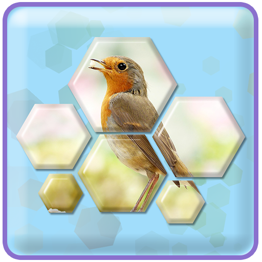 Hexa! Jigsaw - Block hexa puzzle game icon