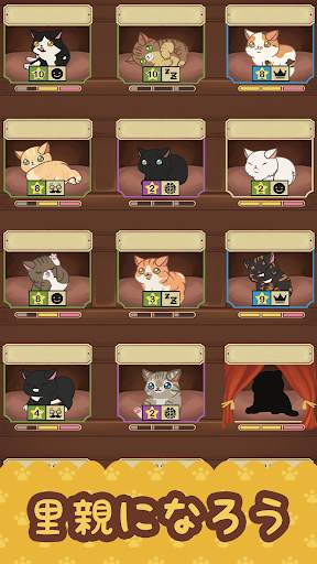 ファリスタズ　猫カフェ screenshot 2