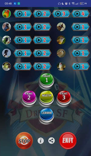 Training Lovebird screenshot 2