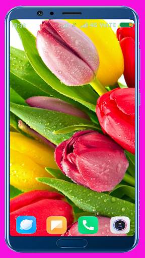 Tulips Flower Wallpaper Best 4K screenshot 11