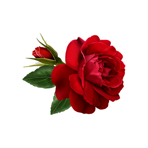 ikon Flowers and Roses Live Wallpaper
