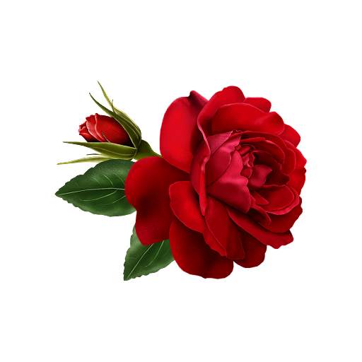Flowers and Roses Live Wallpaper 2.6