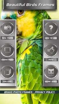 Beautiful Birds Frames screenshot 3