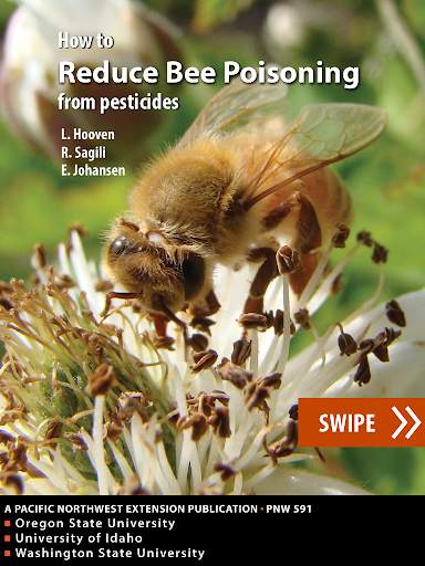 Bee Safety скриншот 5