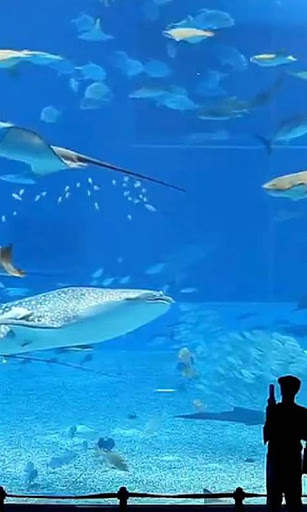 Aquarium Live Wallpaper - backgrounds hd screenshot 2