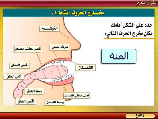 تعليم تجويد القرآن الكريم скриншот 1