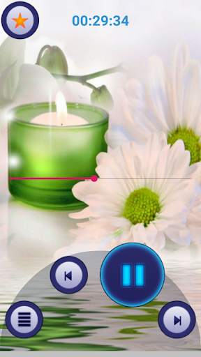 Relaxing Music : Relaxing Spa Music screenshot 3