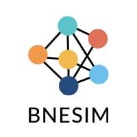 BNESIM: eSIM card, Mobile Data logo