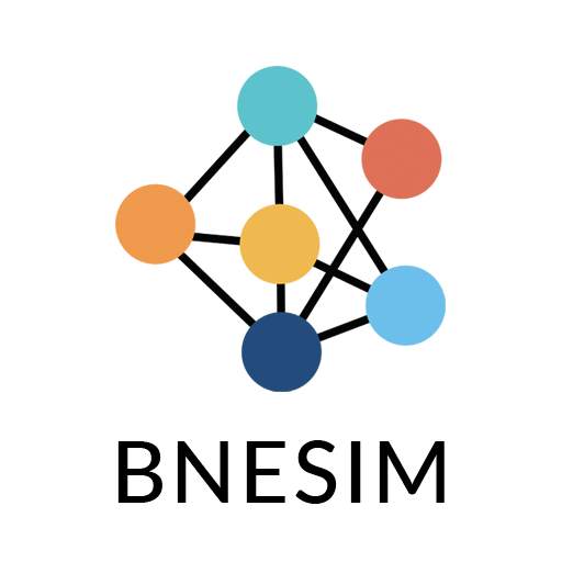 BNESIM: eSIM card, Mobile Data 2023.4.1