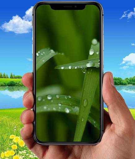 Nature Wallpapers screenshot 5