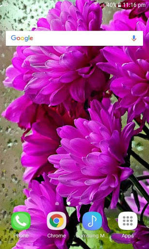 Shiny Flowers Live Wallpaper screenshot 3
