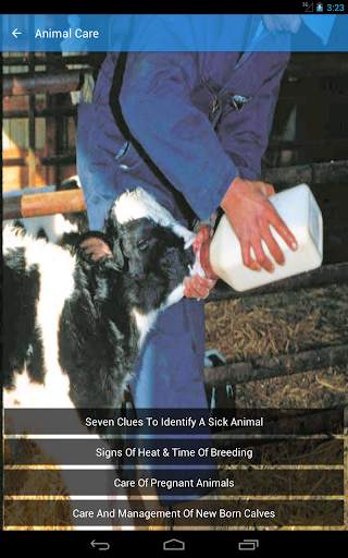 Dairy Husbandry Practices скриншот 8