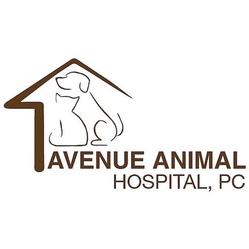Avenue Animal Hospital 300000.2.24