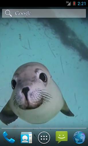 Sea Life HD Video Wallpapers Gallery screenshot 1