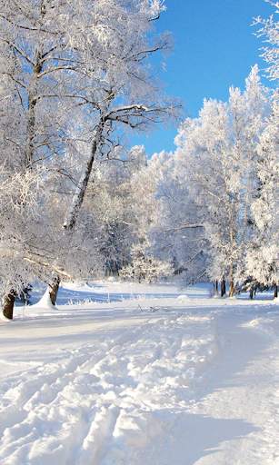 Winter Live Wallpaper (Wallpapers & Backgrounds) screenshot 1