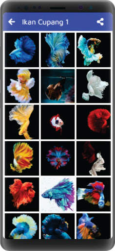 Wallpaper Cantik Ikan Cupang screenshot 2