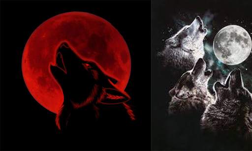 Super Blood Wolf Moon 2020 скриншот 3