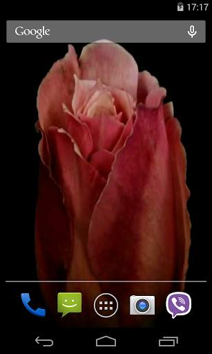 Flowers Video Live Wallpaper screenshot 3