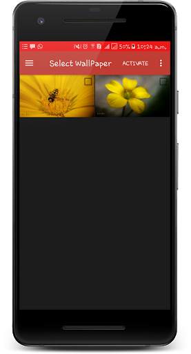 Macro Nature Wallpaper screenshot 4