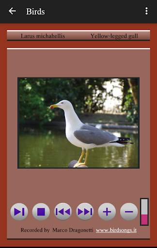 104 Birds Quiz screenshot 8