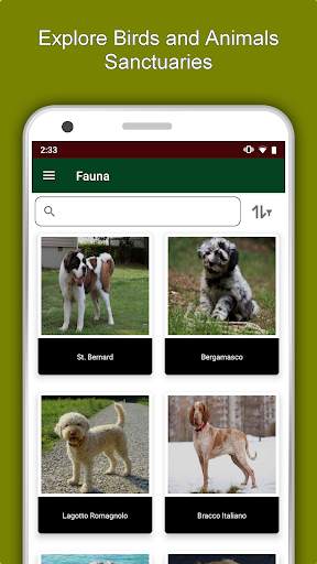 Emilia Romagna Travel & Explore, Offline Guide screenshot 5