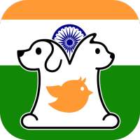 Pets Buying & Selling Online