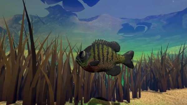 Fish Feed & Shark Grow! Feed Fish: Tips screenshot 2