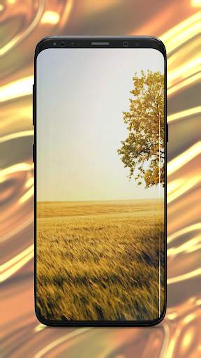 Gold Wallpaper screenshot 4