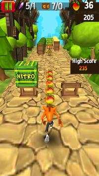 Temple Crash Jungle Run Bandicot screenshot 2