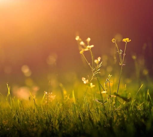 Wallpapers for Huawei screenshot 14