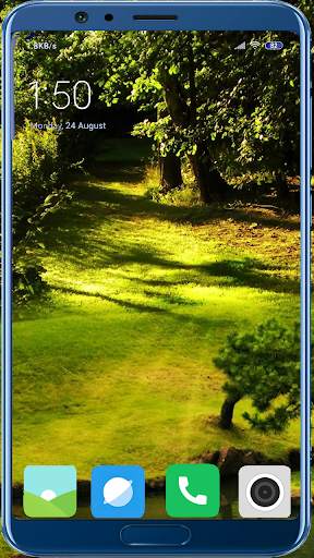1000   Garden Full HD Wallpaper 9 تصوير الشاشة