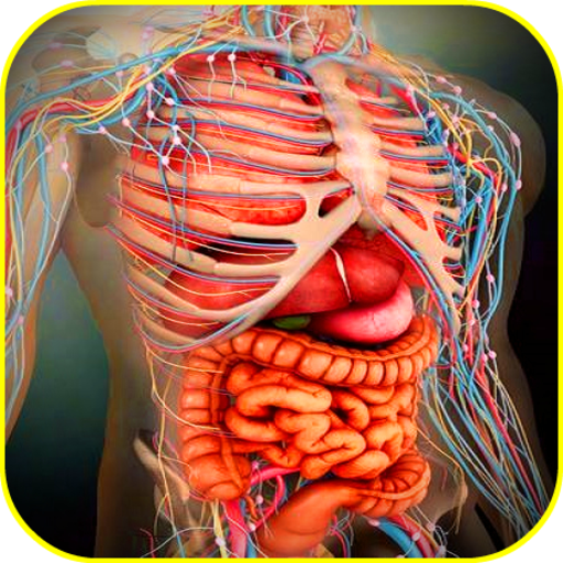 Atlas of Human Anatomy Offline icon