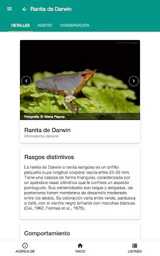 Fauna chilena screenshot 8