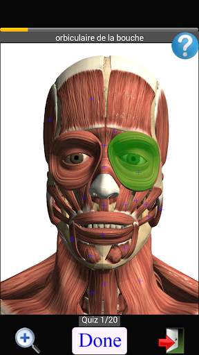 Anatomy Quiz screenshot 2