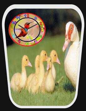 Bird clock live wallpaper screenshot 4