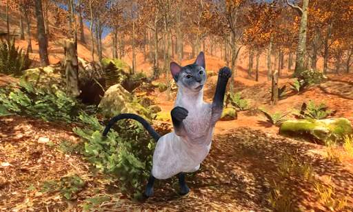 Talking Blue Siamese Cat screenshot 3