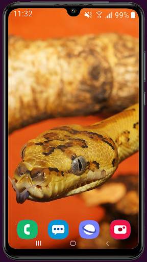 Snake Wallpaper Best HD screenshot 9