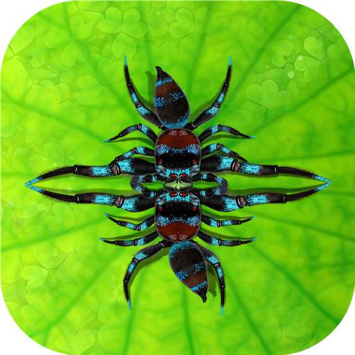 Fighting Spiders 1.0.8